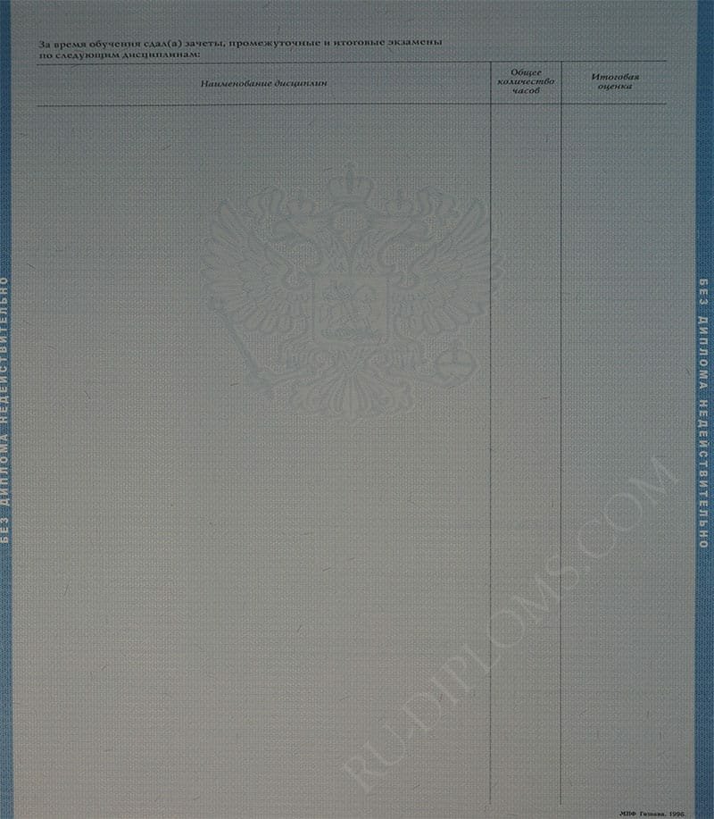 Диплом бакалавра 2004-2009 год Диплом бакалавра 2004-2009 год