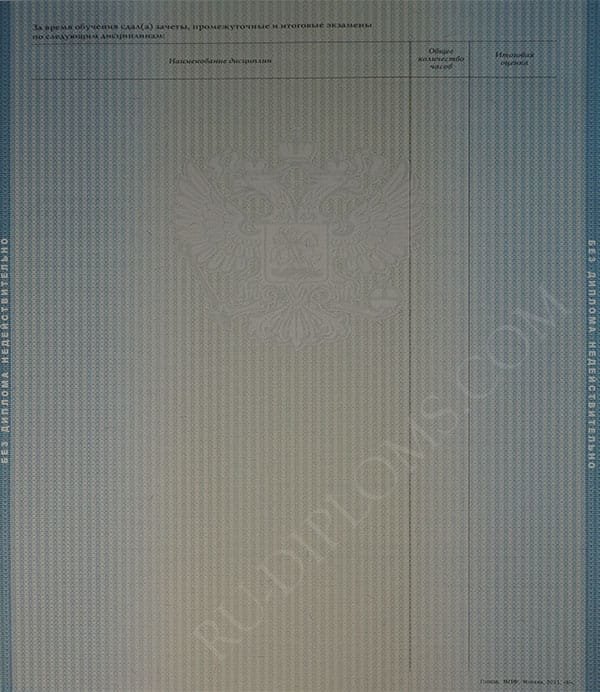 Диплом бакалавра 2010-2013 год Диплом бакалавра 2010-2013 год